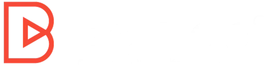 Bahigo logo